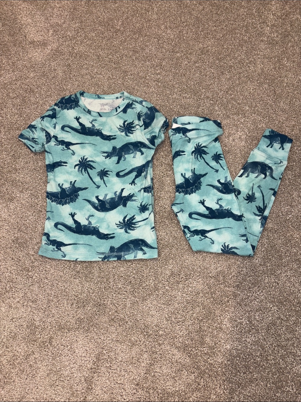 GAP Organize Teal and Navy Dinosaur Print Pajama Set